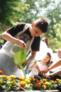 Elevii de la Scoala Gimnaziala Ciocanesti au devenit „gardienii naturii” de cand s-au inscris in proiectul „Patrula Eco”